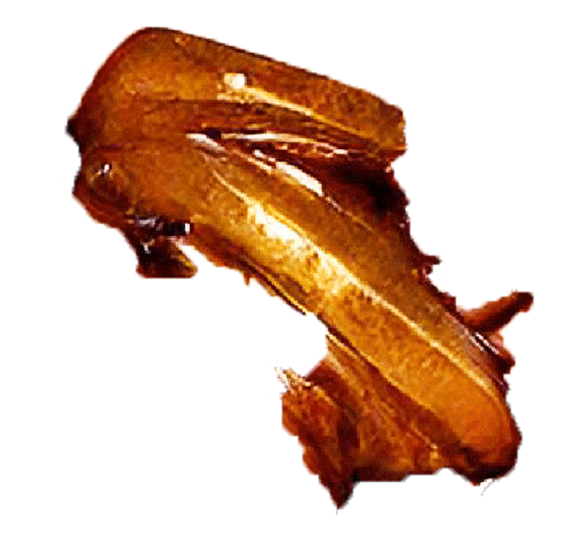 Hero image 4